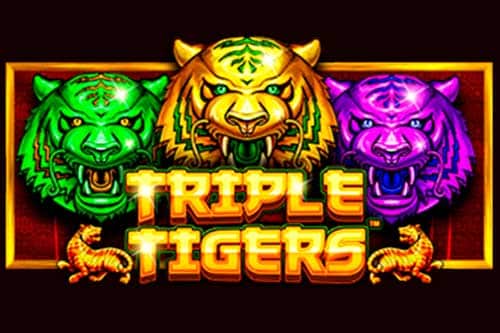 รีวิวเกม Triple Tigers