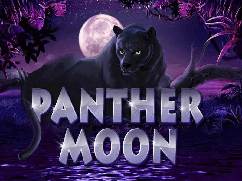 Review PANTHER MOON