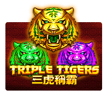 รีวิวเกม Triple Tigers