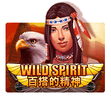 รีวิวเกม Wild Spirit
